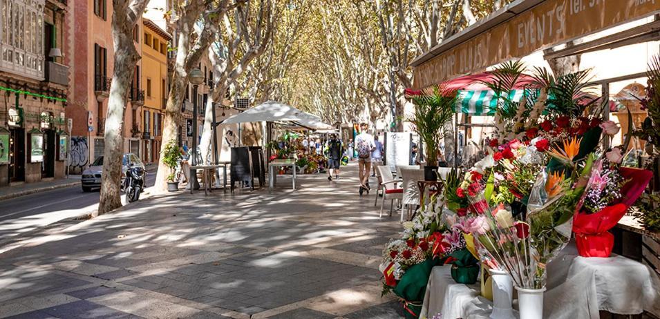 Maison d'hôtes Rambla Center Palma