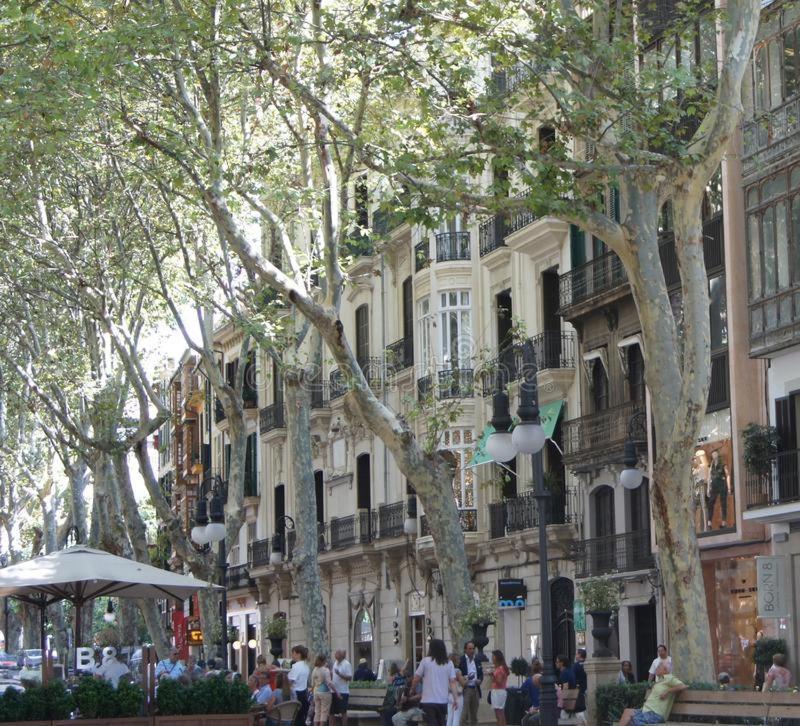Rambla Center * Palma