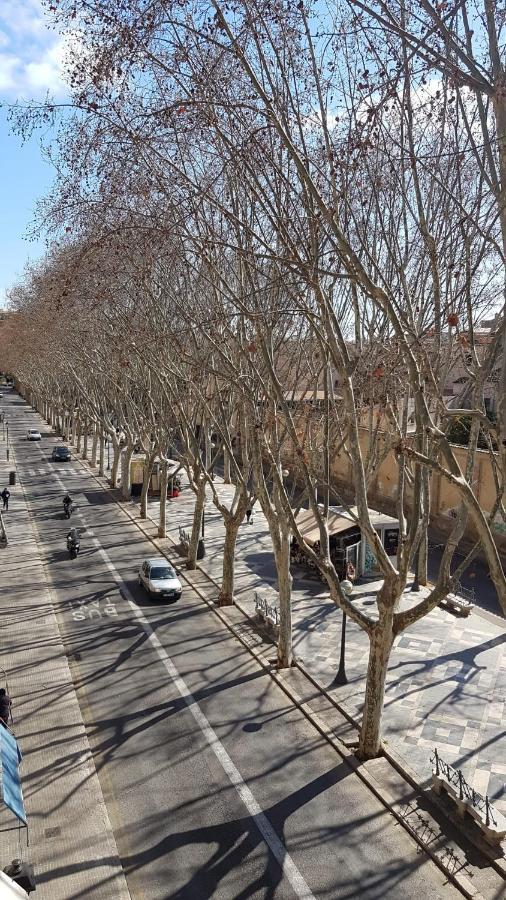 Rambla Center * Palma